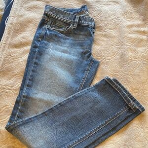 LOFT Women's Straight Leg Jeans in Medium Blue Wash